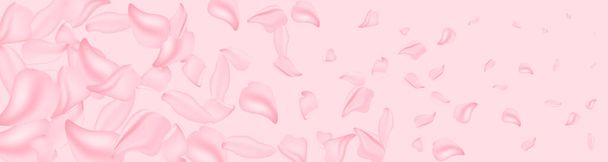 Pétalos Sakura. Flor de Sakura, flor de primavera y naturaleza floral de abril sobre fondo rosa. Banner para el 8 de marzo, Feliz Pascua con lugar para el texto. Concepto de primavera. Vista superior. Puesta plana. - Vector, imagen
