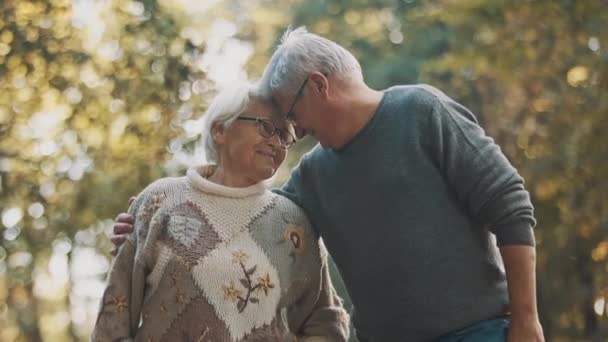 Onnellinen vanha pariskunta romanttisessa kävelyssä puistossa syyspäivänä - Materiaali, video