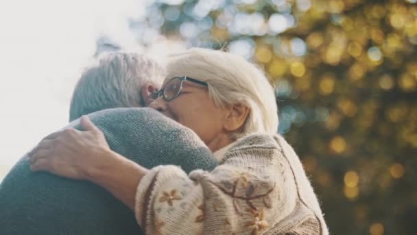 Älteres verliebtes Paar umarmt sich an einem Herbsttag im Park - Filmmaterial, Video
