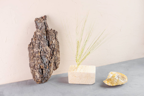 Autumn composition: ears of oats, tree bark, wood podium, stone on a light background. The concept of naturalness, environmental friendliness, wabi-sabi style. - Photo, Image