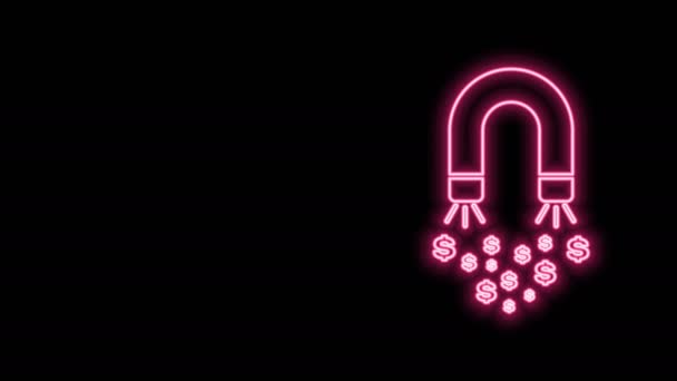 Gloeiende neonlijn Magneet met geldpictogram geïsoleerd op zwarte ondergrond. Concept van het aantrekken van investeringen, geld. Grote zakelijke winst attractie en succes. 4K Video motion grafische animatie - Video