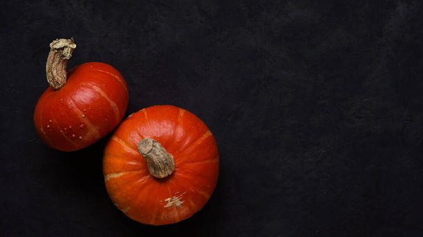 Autumn, fall, thanksgiving day, halloween concept.Autumn Minimal composition.Black concrete background with orange pumpkins. Top view, flat lay, copy space. - Photo, Image
