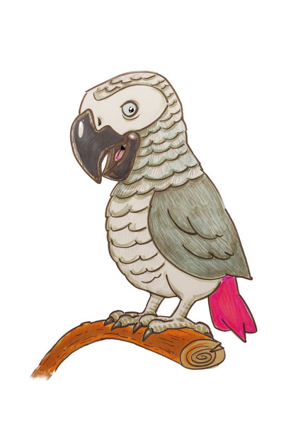 grey parrot cartoon illustration over white background - Photo, Image