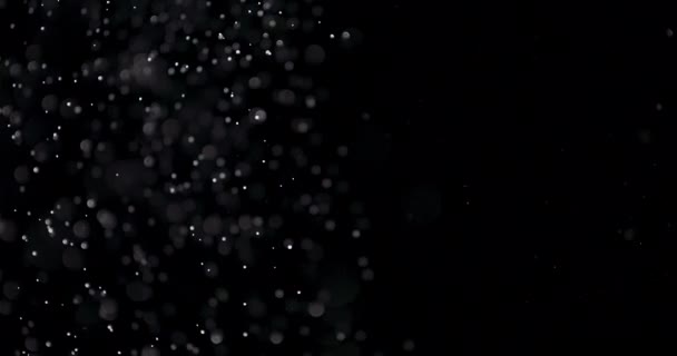 Polvere isolata su fondo nero - Filmati, video