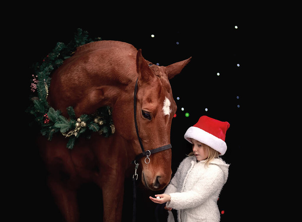 小さな美しいです女の子ポーズでクリスマス衣装隣に大きな赤い馬 - 写真・画像