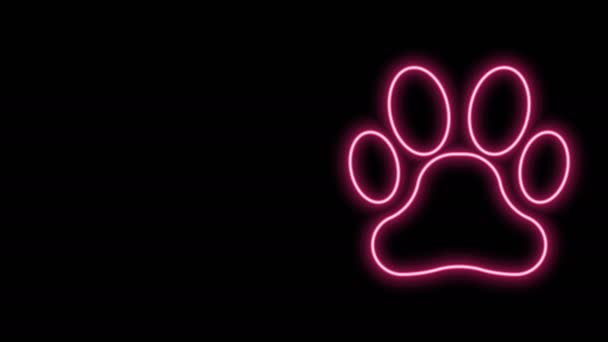 Ragyogó neon vonal Paw print ikon elszigetelt fekete háttérrel. Kutya- vagy macskamancs lenyomat. Állati nyom. 4K Videó mozgás grafikus animáció - Felvétel, videó