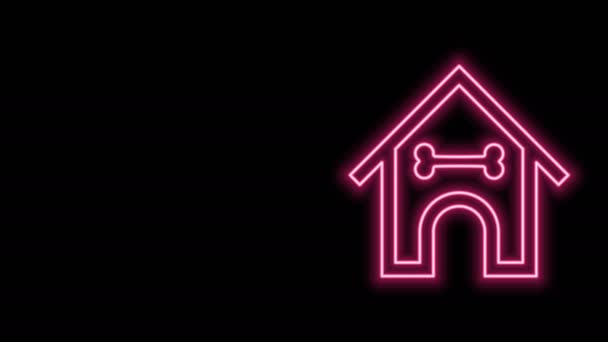 Linea neon incandescente Casa del cane e icona dell'osso isolata su sfondo nero. Canile per cani. Animazione grafica 4K Video motion - Filmati, video