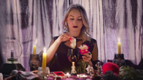 Witch fortune teller psychic picks the petals from a rose, throws them into magic glass and drinks - Footage, Video
