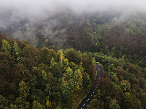 霧と秋の日の山の範囲で木々や森を横断する道路上の高角度の空中ビュードローン画像-セルビアのBabin Zub Old Mountain -旅行・休暇のコンセプト - 写真・画像