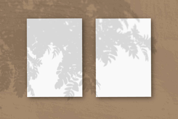 2 fogli verticali di carta bianca strutturata su sfondo tavolo marrone. Mockup con una sovrapposizione di ombre vegetali. La luce naturale proietta ombre da un ramo di Rowan. Orientamento orizzontale. - Foto, immagini