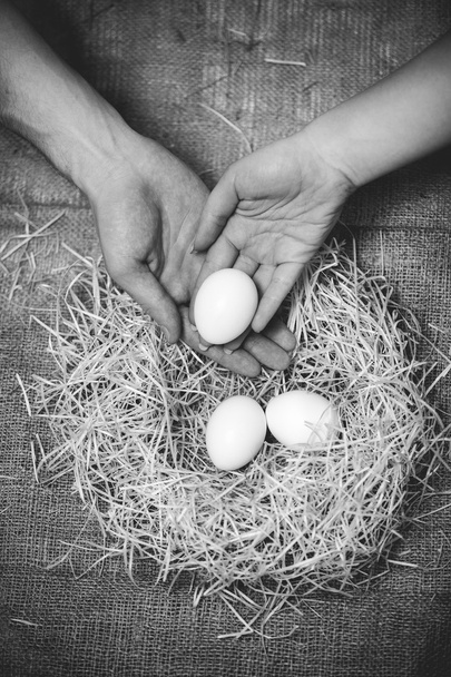 mężczyzna i kobieta umieszczenie jaj w gnieździe z innymi jajami - Zdjęcie, obraz