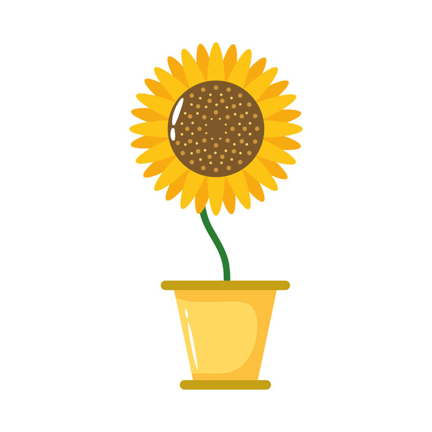 sunflower growth plant in ceramic pot flat style icon - Vector, Image