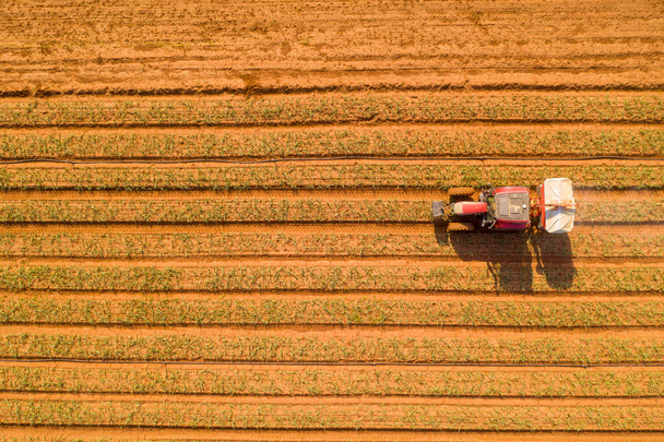 Трактор, перевозящий двухдисковый разбрасыватель удобрений на большом поле - Фото, изображение