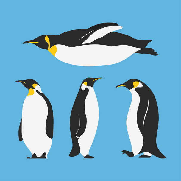 groupe de pingouins oiseaux personnages - Vecteur, image