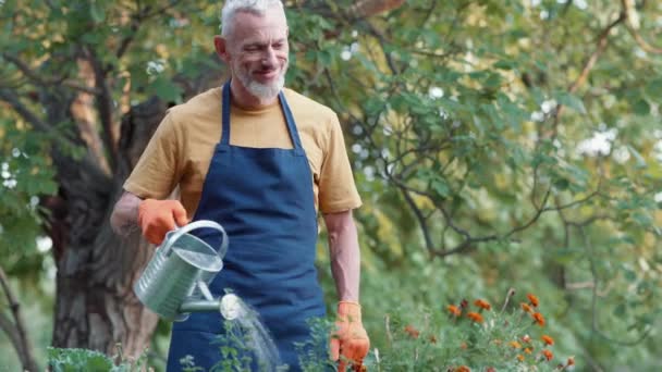 有機農業。エプロンを身に着けている幸せな成熟した男性庭師と保護手袋散水花や植物や笑顔、彼の庭で働く男性農家 - 映像、動画