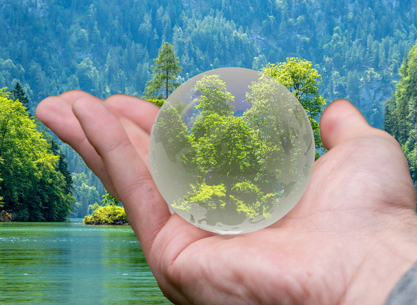 Зелений - життєвий скляний м'яч. - Фото, зображення