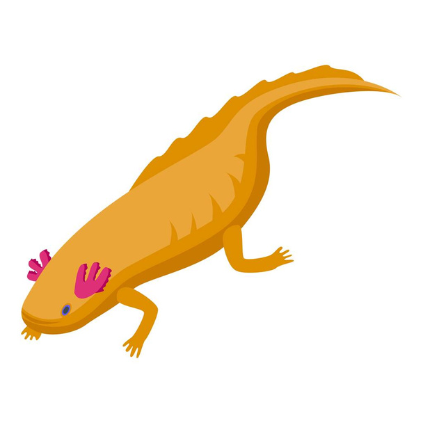 Axolotl fish icon, isometric style - Vektori, kuva
