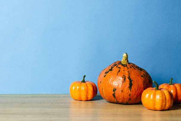 Ripe Pumpkins on a blue background. Harvest concept, Thanksgiving day, cook food, autumn. - Photo, Image