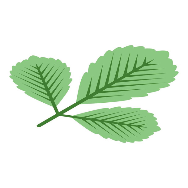 Green autumn leaf icon, isometric style - ベクター画像