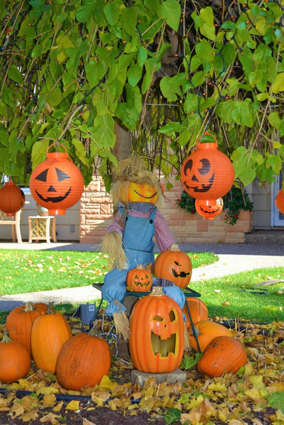 Albero decorato per Halloween con uno spaventapasseri e zucche intagliate - Foto, immagini