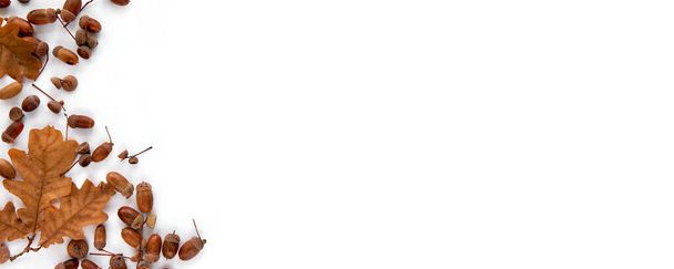 Herbstliche Komposition. Rahmen aus braunen getrockneten Blättern und Eicheln isoliert auf weißem Hintergrund. Vorlagen-Attrappe, Halloween, Erntedankkonzept. Flache Lage, Draufsicht, Kopierplatz-Banner - Foto, Bild