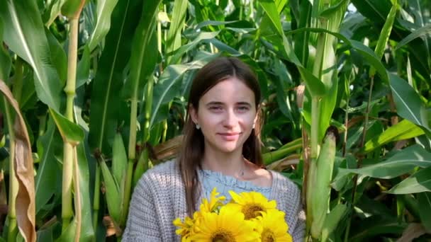 Femme avec des tournesols Boquet Posant et souriant entre grand champ de maïs plantes. Mouvement lent - Séquence, vidéo