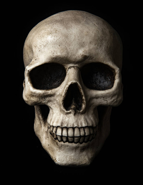 Frontal view at human skull with dramatic lightning is isolated on a black background - 写真・画像