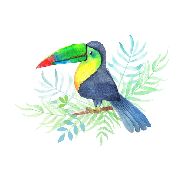 toekan, schattig vogeltje, aquarel in tropische bladeren - Foto, afbeelding