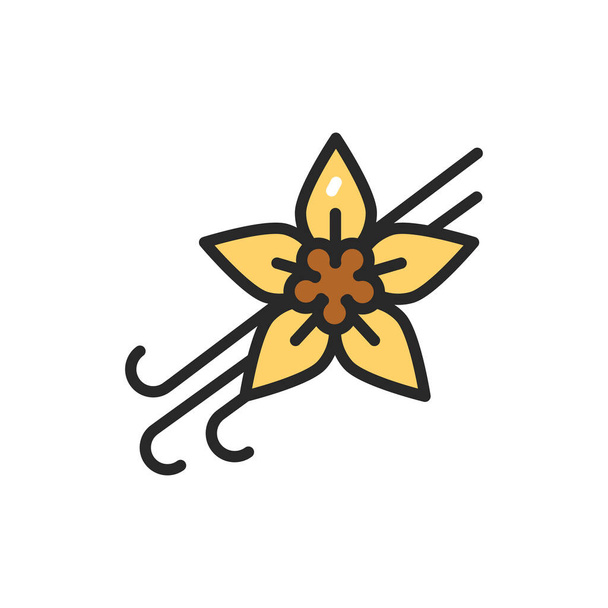 vainas de vainilla y flor con el icono de la línea de color título. Ilustración vectorial - Vector, Imagen