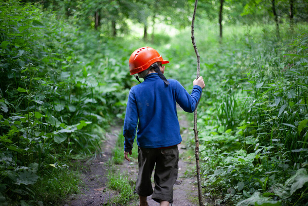 The child walks through the woods. The boy got lost in the woods. The preschooler ran away from home.  - Φωτογραφία, εικόνα