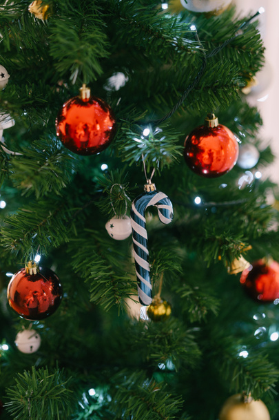 Μπλε παιχνίδι ζαχαροκάλαμου σε ένα κλαδί χριστουγεννιάτικου δέντρου. - Φωτογραφία, εικόνα