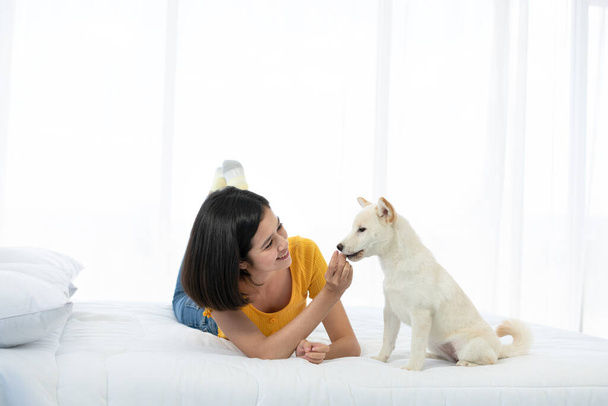 Aasialainen nainen ruokkii valkoista Shiba Inu koiraa. - Valokuva, kuva
