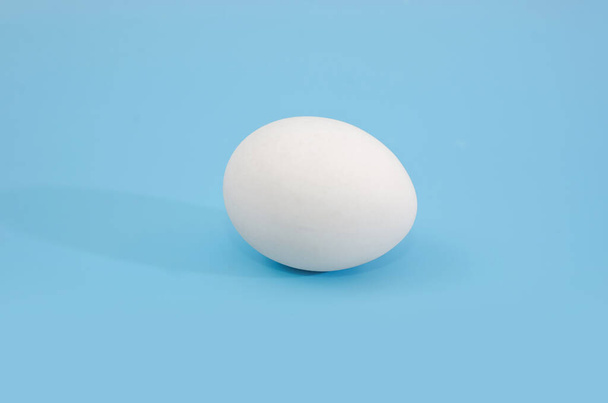 Mavi arka planda bir beyaz yumurta.. - Fotoğraf, Görsel
