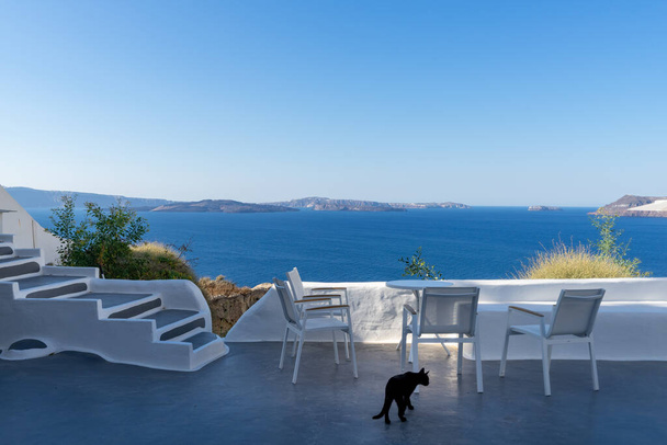 Ayrı bir siyah kedi ve beyaz masalı dört beyaz sandalye, güneşli bir günde mavi deniz ve kaldera manzaralı beyaz bir terasta. Oia, Santorini Adası, Yunanistan - Fotoğraf, Görsel