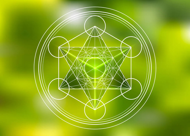 Metatrons Cube, Flower of Life, Merkaba sacred geometry spiritual new age futuristic vector illustration with interlocking circles, triangles in front of blurry green natural background - Vector, Image