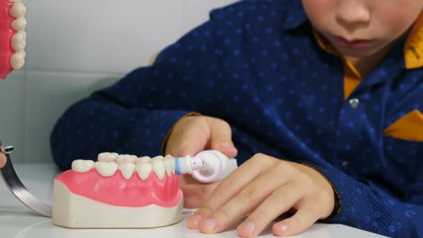 Ortodonta pokazuje jak czyścić zęby za pomocą elektrycznej szczoteczki i modelu szczęki. Chłopak próbuje czyścić zęby szczotką. zbliżenie. Higiena jamy ustnej. 4 tys. wideo - Materiał filmowy, wideo