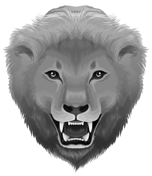 gri bir aslan - Vektör, Görsel