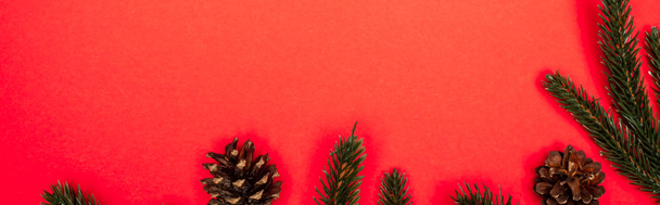 Konilerin üst görünümü, kırmızı arkaplanda ladin dalları, afiş - Fotoğraf, Görsel