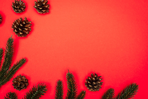 top view of cones, spruce branches on red background - Photo, Image