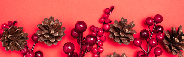 top view of cones and berries on red background, banner - Fotografie, Obrázek