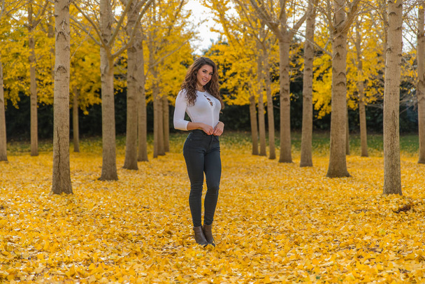 A beautiful brunette model with yellow fall foliage - Photo, Image