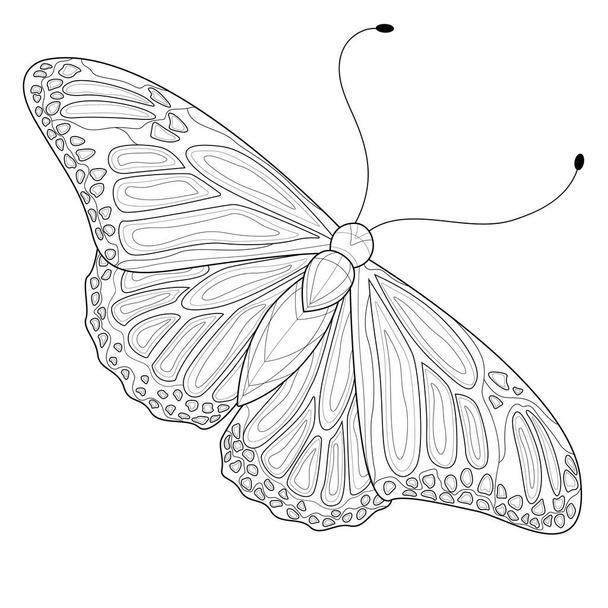 Schmetterling.Malbuch Antistress für Kinder und Erwachsene. Zen-Wirrwarr. Schwarz-weiße Zeichnung. - Vektor, Bild