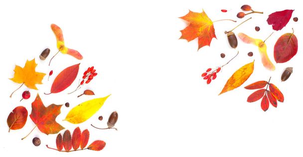 Bordo composizione caduta con foglie autunnali isolate su bianco - Foto, immagini