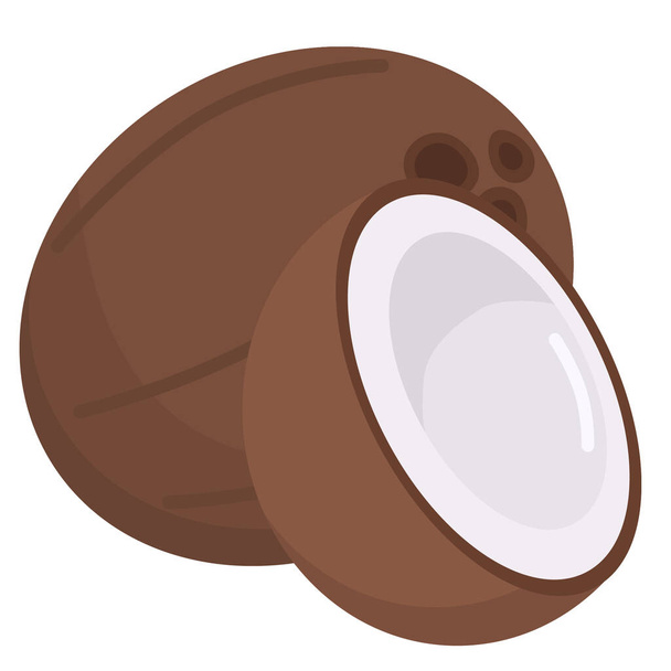  illustration of a whole and half coconut on a white background - Vector, Image