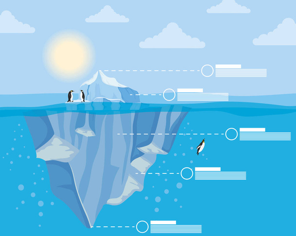 iceberg bloque ártico escena nocturna con pingüinos nadando e infografías - Vector, imagen