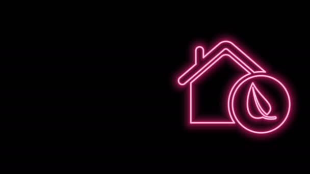 Zářící neon line Eco přátelský dům ikona izolované na černém pozadí. Eko dům s listem. Grafická animace pohybu videa 4K - Záběry, video