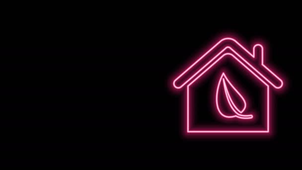 Brillante línea de neón Eco amigable icono de la casa aislado sobre fondo negro. Eco casa con hoja. Animación gráfica de vídeo 4K - Imágenes, Vídeo
