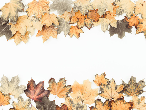 Halloween-Rahmen aus Herbstblättern auf weißem Hintergrund mit einem Platz für Text in der Mitte, Draufsicht. - Foto, Bild