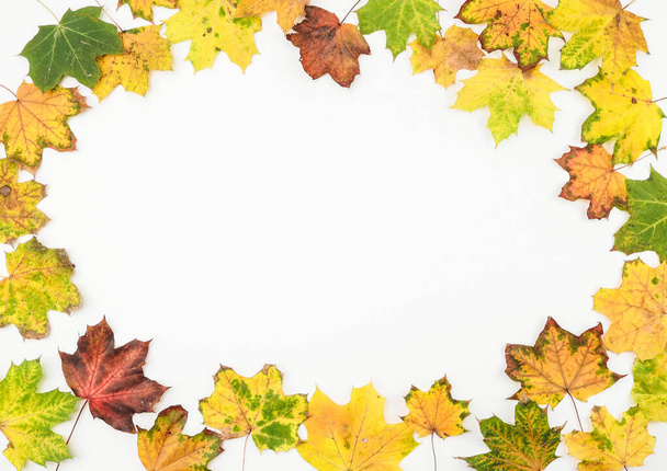 Marco de otoño hecho de hojas de arce de colores en blanco con lugar para el texto, vista superior. - Foto, Imagen