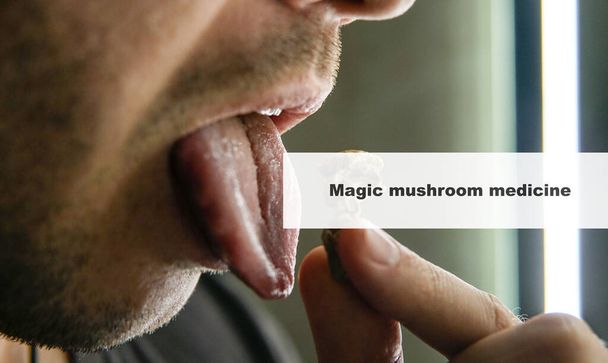 лекарства и грибы псилоцибина. Лечение и профилактика психического состояния современного человека с помощью волшебных грибов - Фото, изображение